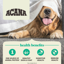 Dry Dog Food - Healthy Grains - Lamb with Pumpkin Recipe