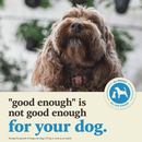 Dry Dog Food - Healthy Grains - Duck with Pumpkin Recipe