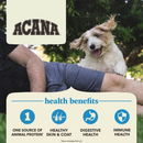 Dry Dog Food - Healthy Grains - Duck with Pumpkin Recipe