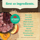Dry Dog Food - Healthy Grains - Lamb with Pumpkin Recipe