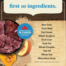 Dry Dog Food - Healthy Grains - Duck with Pumpkin Recipe