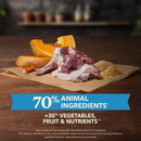 Dry Dog Food - Healthy Grains - Duck with Pumpkin Recipe
