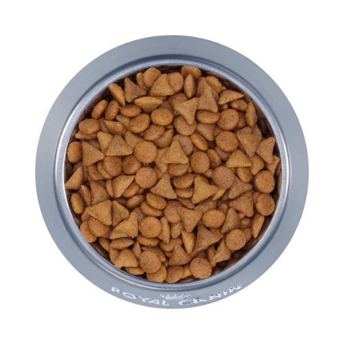 Dry Cat Food - Adult Cat - Savor Selective - 6 lb