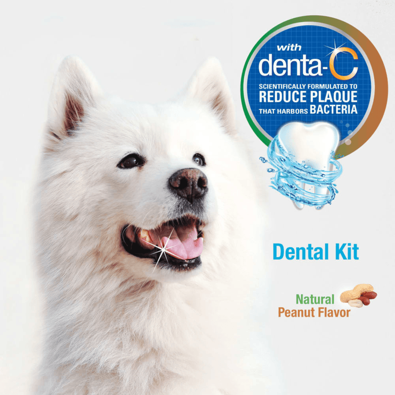 Advance Oral Care - Dog Dental Kit - Natural Peanut Flavor - J & J Pet Club - Nylabone