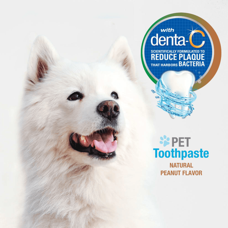 Advanced Oral Care - Dog Toothpaste - Natural Peanut Flavor - 2.5 oz - J & J Pet Club - Nylabone