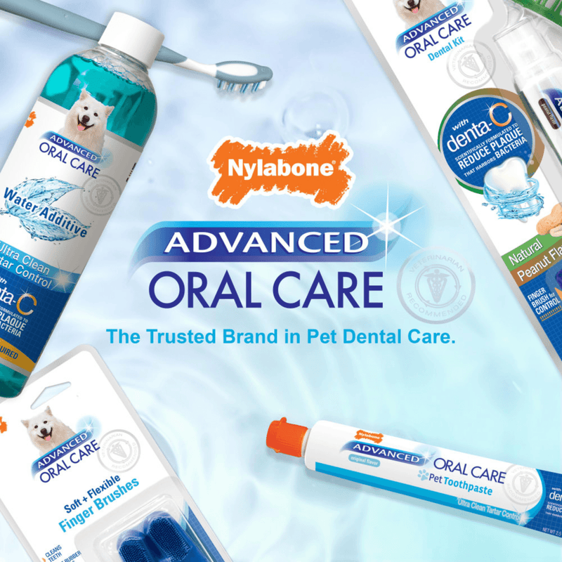 Advanced Oral Care - Dog Toothpaste - Natural Peanut Flavor - 2.5 oz - J & J Pet Club - Nylabone