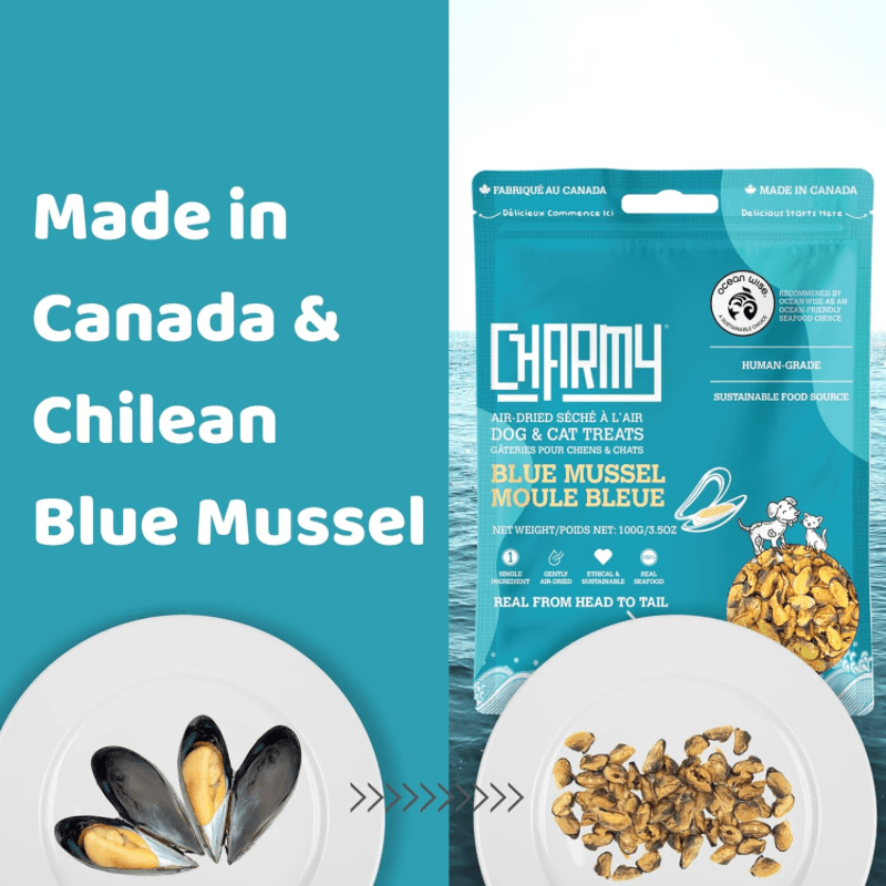 Air Dried Treat For Dogs & Cats - Blue Mussel - 100 g - J & J Pet Club - Charmy Box
