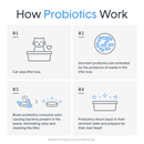 BOXIE PRO - Deep Clean, Scent Free Probiotic Clumping Clay Litter - J & J Pet Club - BOXIE