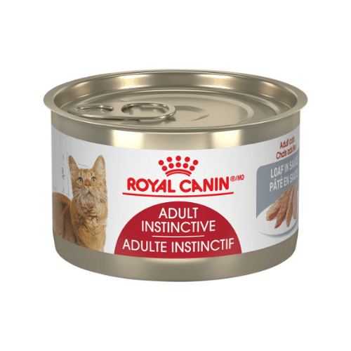 Canned Cat Food - Adult Instinctive - Loaf In Sauce - J & J Pet Club - Royal Canin