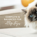 Canned Cat Food - Beef Feast - J & J Pet Club - Feline Natural