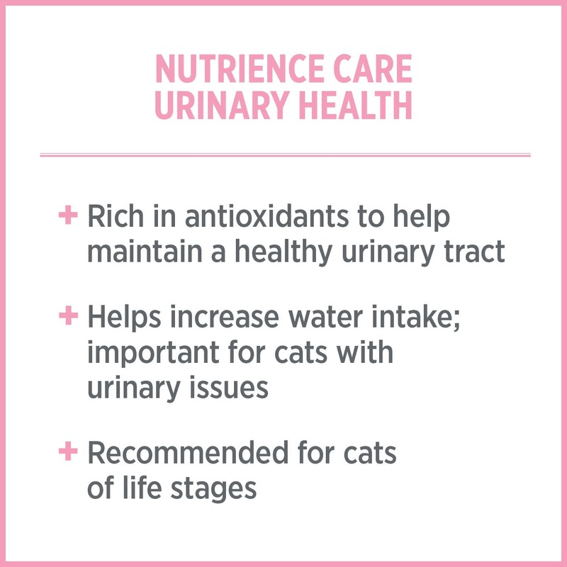 Canned Cat Food - CARE - Urinary Health - 156 g - J & J Pet Club - Nutrience