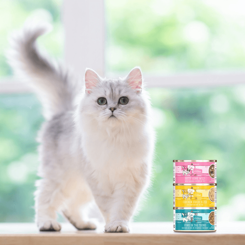 Canned Cat Food - Cats in the Kitchen - Kitty Gone Wild - Wild Salmon Recipe Au Jus - J & J Pet Club - Weruva