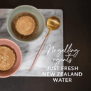 Canned Cat Food - Chicken Feast - J & J Pet Club - Feline Natural