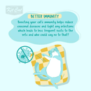 Canned Cat Food - Complete CUISINE - Chicken Classic In Broth - 150 g - J & J Pet Club - Kit Cat