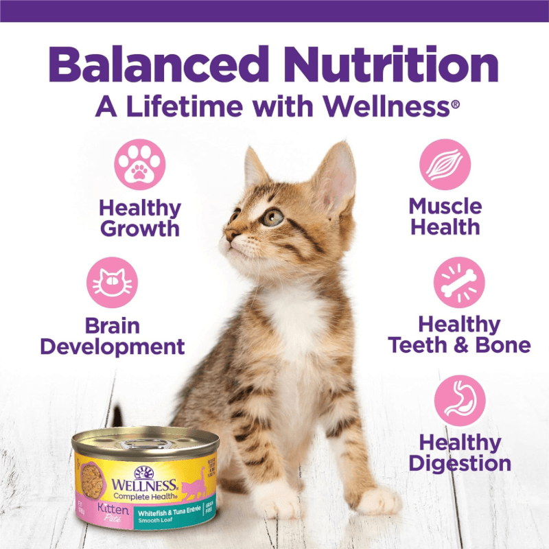 Canned Cat Food - COMPLETE HEALTH - Kitten Pâté - White Fish & Tuna Entrée - J & J Pet Club - Wellness