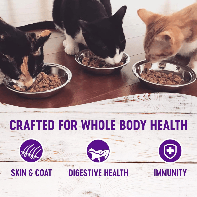 Canned Cat Food - COMPLETE HEALTH - Pâté - Beef & Salmon Entrée - J & J Pet Club - Wellness