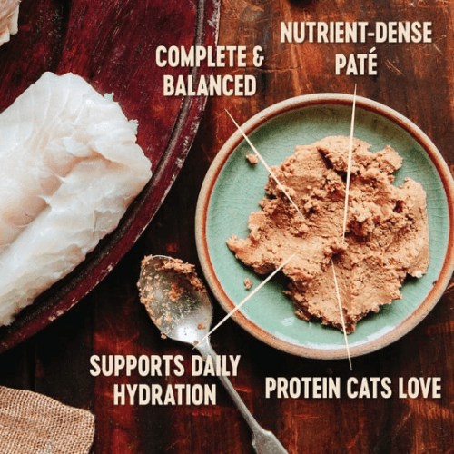 Canned Cat Food - CORE - Classic Pâté - Whitefish, Salmon & Herring Recipe - 5.5 oz - J & J Pet Club