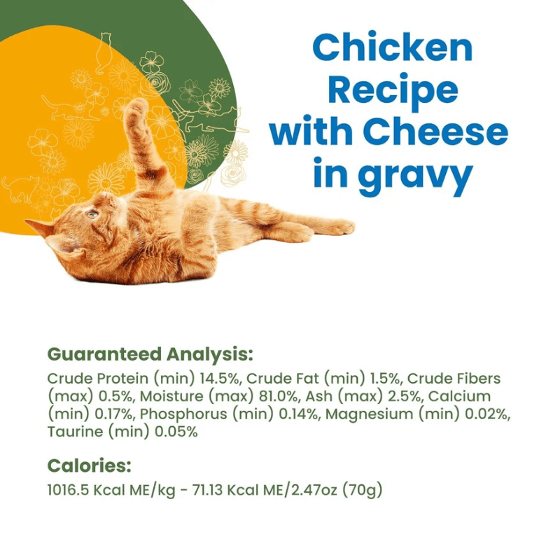 Canned Cat Food - HQS COMPLETE - Chicken Recipe with Cheese in Gravy - Adult - 2.47 oz - J & J Pet Club - Almo Nature