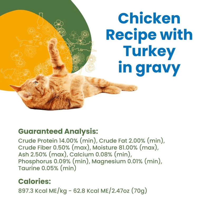 Canned Cat Food - HQS COMPLETE - Chicken Recipe with Turkey in Gravy - Adult - 2.47 oz - J & J Pet Club - Almo Nature