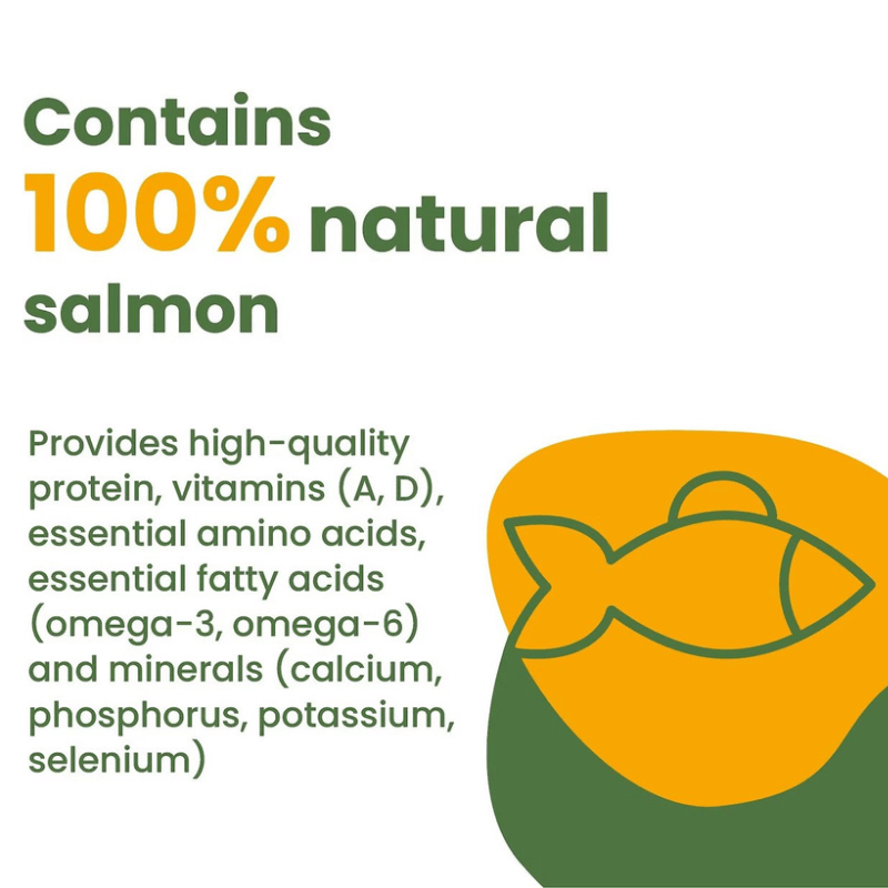 Canned Cat Food - HQS COMPLETE - Salmon Recipe with Apple in Gravy - Adult - 2.47 oz - J & J Pet Club - Almo Nature