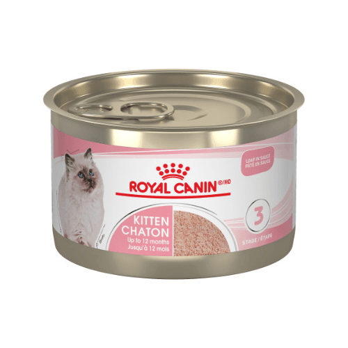 Canned Cat Food - Kitten - Loaf In Sauce - J & J Pet Club - Royal Canin