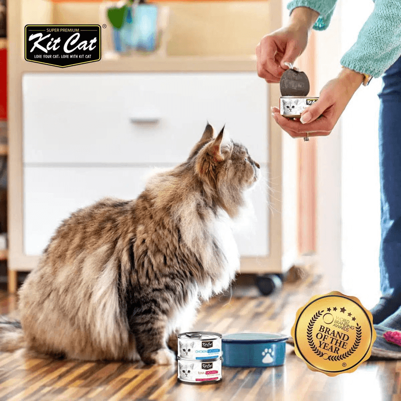 Canned Cat Food Kitten MOUSSE Tuna 80 g J J Pet Club