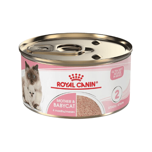 Canned Cat Food - Mother & Babycat - Ultra Soft Mousse - J & J Pet Club - Royal Canin