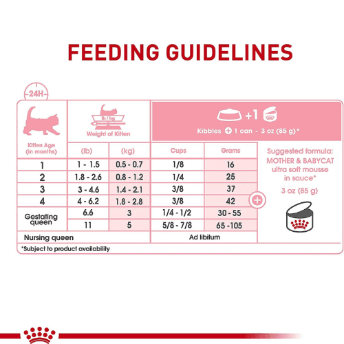 Babycat mousse royal canin clearance