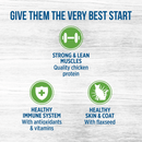 Canned Cat Food - ORIGINAL - Chicken Pâté with Brown Rice & Vegetables - Kitten - 156 g - J & J Pet Club - Nutrience