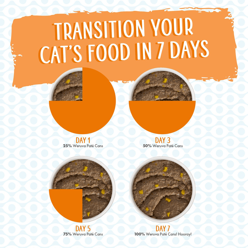 Canned Cat Food - Patés - Who wants to be a Meowionaire? - Chicken & Pumpkin Dinner in a Hydrating Purée - J & J Pet Club - Weruva