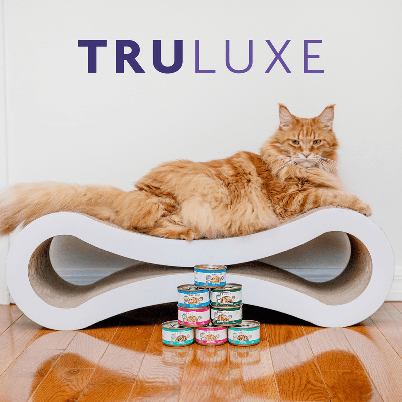 Canned Cat Food - TRULUXE - On the Cat Wok - with Chicken & Beef in Pumpkin Soup - J & J Pet Club - Weruva