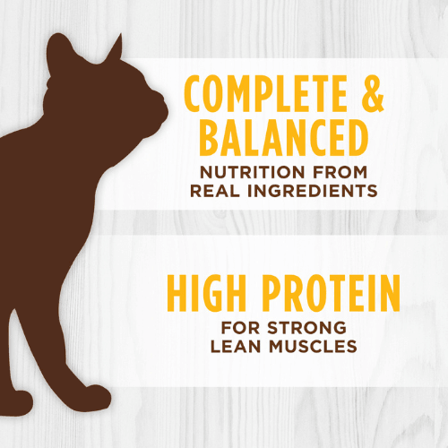 Canned Cat Food - ULTIMATE PROTEIN - Real Chicken Recipe - J & J Pet Club - Instinct
