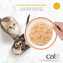 Canned Cat Treat - Divine Shreds - Chicken with Liver & Broccoli in Jelly - 85 g can, pack of 4 - J & J Pet Club - Catit