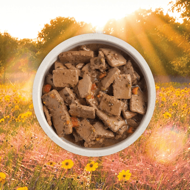 Canned Dog Food - Chunks - Lamb Recipe in Bone Broth - 363 g - J & J Pet Club - Acana