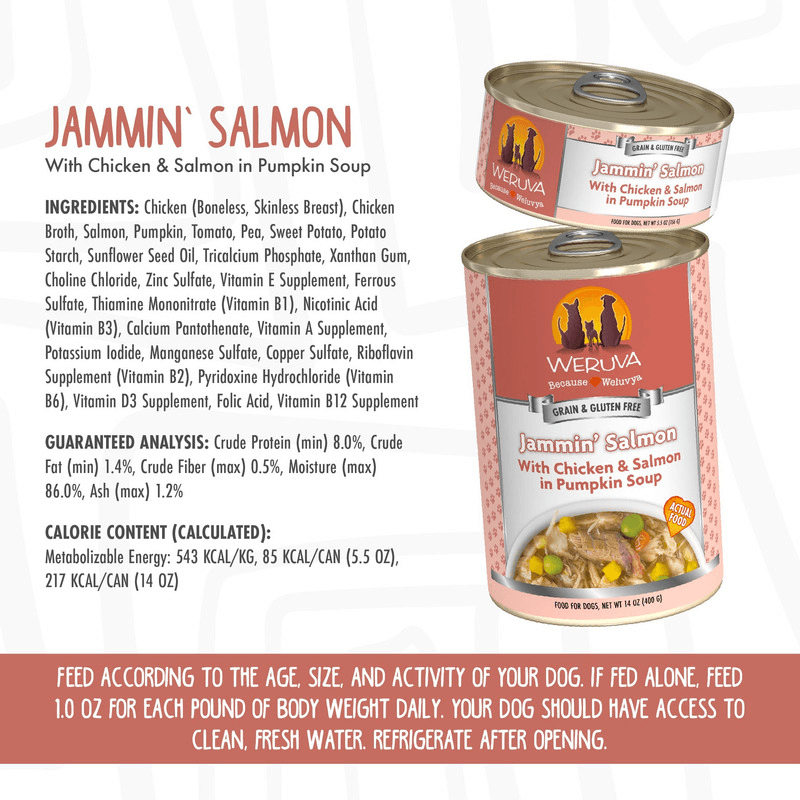 Canned Dog Food - CLASSIC - Jammin’ Salmon - with Chicken & Salmon in Pumpkin Soup - J & J Pet Club - Weruva