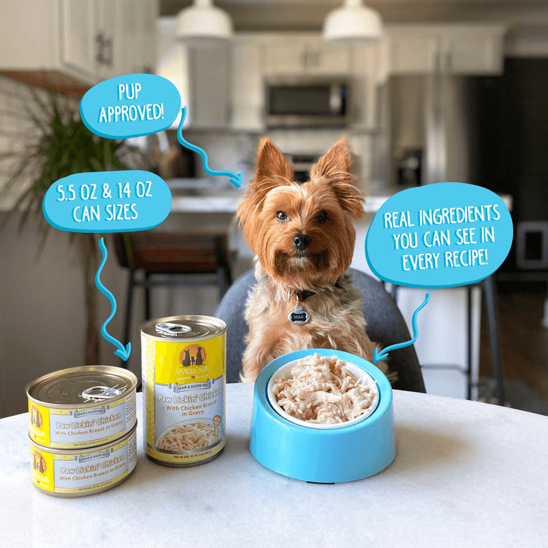 Canned Dog Food - CLASSIC - Paw Lickin’ Chicken - with Chicken Breast in Gravy - J & J Pet Club - Weruva
