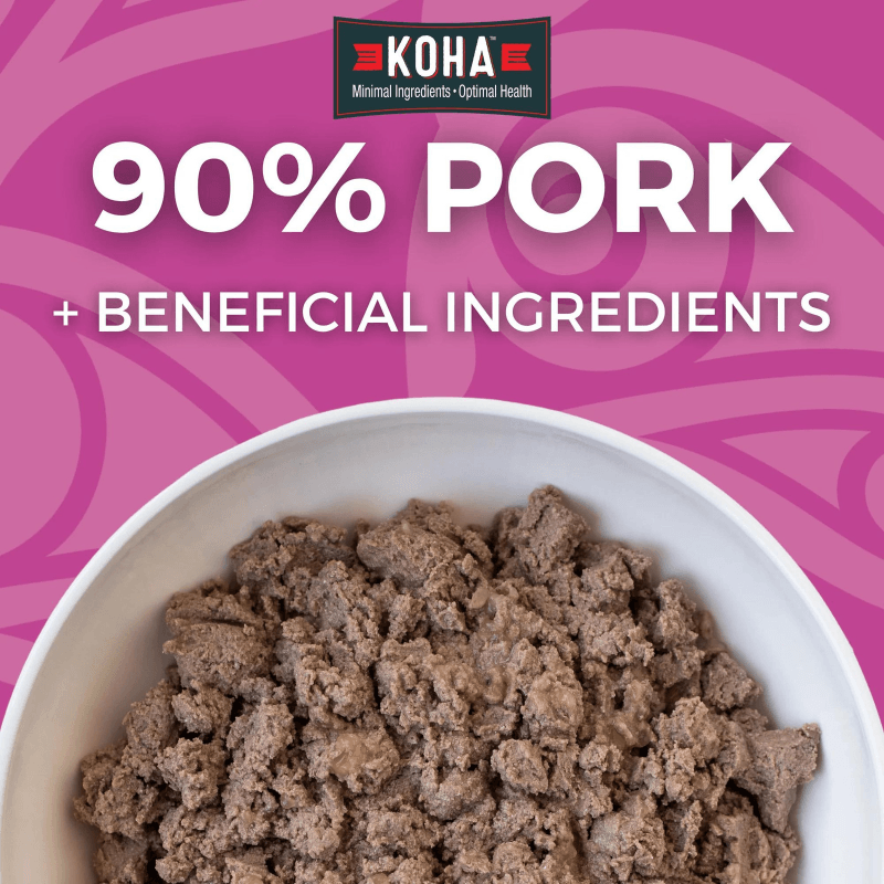 Canned Dog Food - Limited Ingredient Diet - 90% Pork Entrée in Gravy with Squash - 13 oz - J & J Pet Club - KOHA