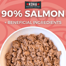 Canned Dog Food - Limited Ingredient Diet - 90% Salmon Entrée with Pumpkin - 13 oz - J & J Pet Club - KOHA