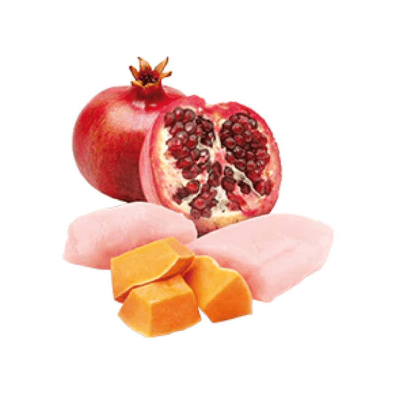 Canned Dog Food - N & D - PUMPKIN - Chicken, Pumpkin & Pomegranate - Adult Mini - 4.9 oz - J & J Pet Club - Farmina