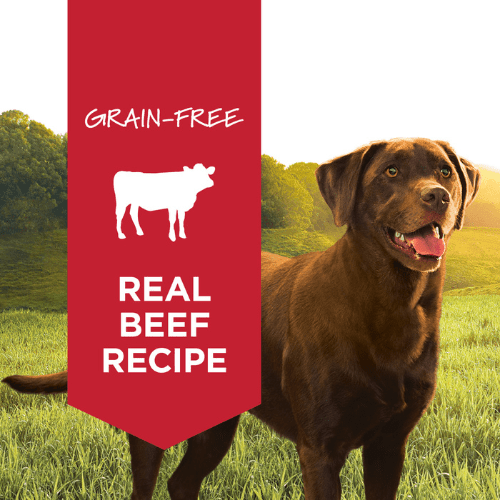 Canned Dog Food - ORIGINAL - Real Beef Recipe - 13.2 oz - J & J Pet Club - Instinct