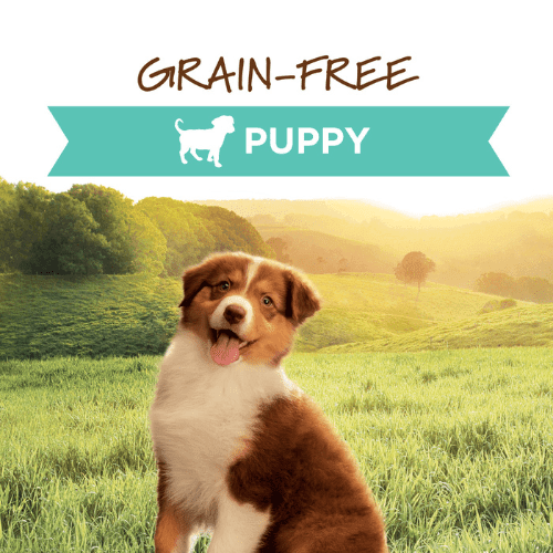 Canned Dog Food - ORIGINAL - Real Chicken Recipe For Puppies - 13.2 oz - J & J Pet Club - Instinct