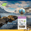 Cat Dental Care - SCOOPABLES - PlaqueOff Soft Chews - 45 scoops - J & J Pet Club - ProDen PlaqueOff