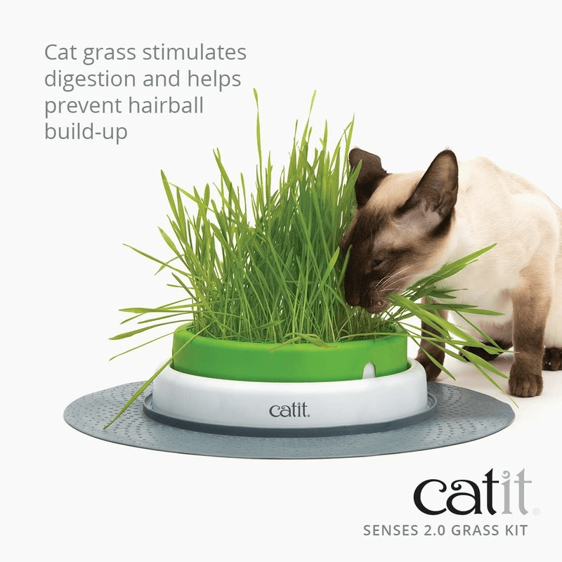 Cat Grass - Senses 2.0 Playground - Cat Grass Kit - 3 sets - J & J Pet Club - Catit