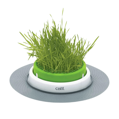 Cat Grass - Senses 2.0 Playground - Grass Planter - J & J Pet Club - Catit