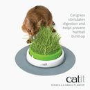 Cat Grass - Senses 2.0 Playground - Grass Planter - J & J Pet Club - Catit