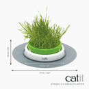 Cat Grass - Senses 2.0 Playground - Grass Planter - J & J Pet Club - Catit