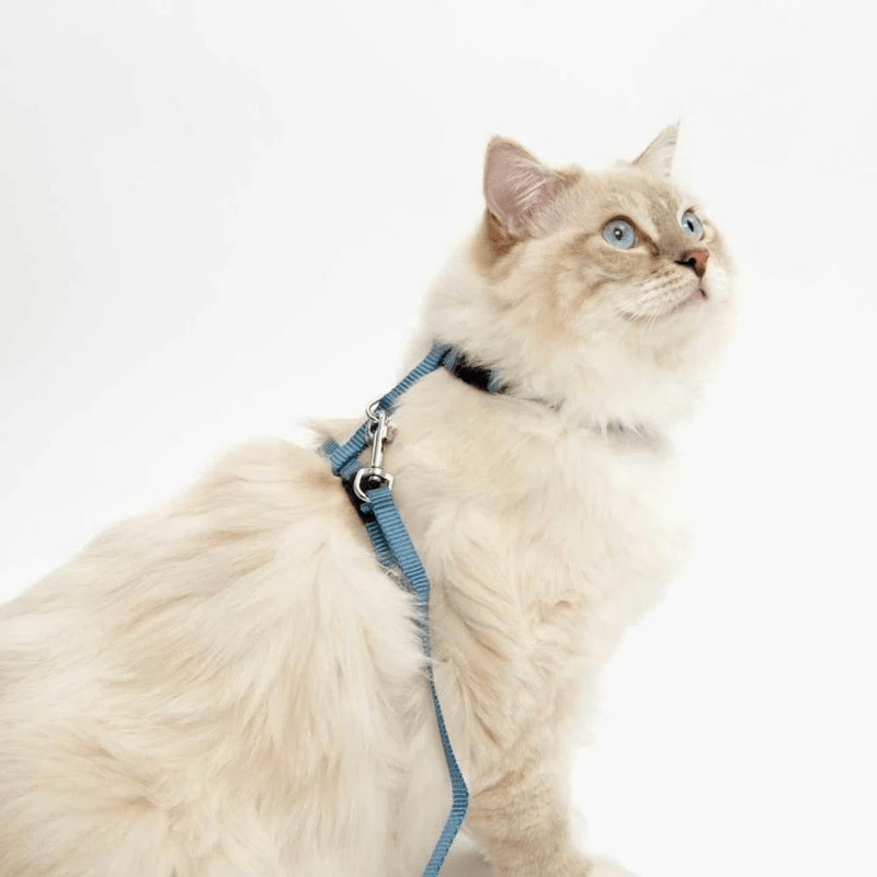 Cat Harness & Leash Set - J & J Pet Club - Catit