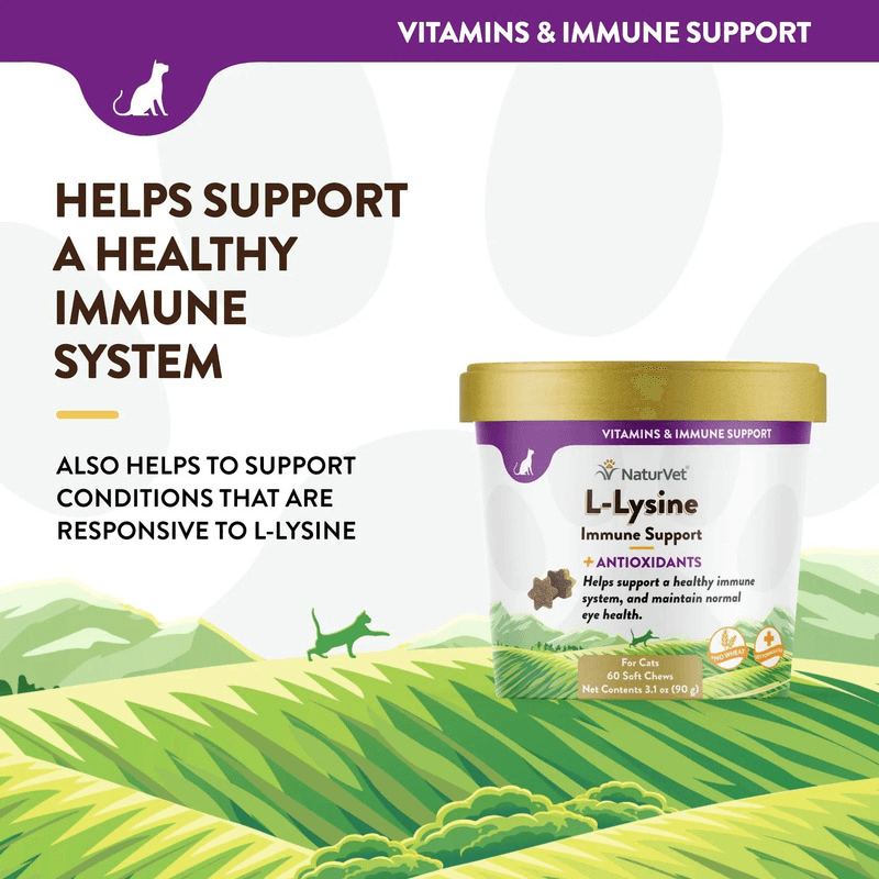 Cat Supplement - VITAMIN & IMMUNE SUPPORT, L-Lysine, Immune Support + Antioxidants - 60 soft chews - J & J Pet Club - Naturvet
