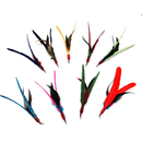 Cat Teaser Attachment - DA BIRD Refill - J & J Pet Club - GO CAT