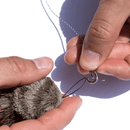 Cat Teaser - CAT LURES - FEATHER MOUSE Full Toy - J & J Pet Club - GO CAT